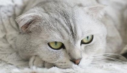 中信证券:户储装机有望回归常态化稳健增长 建议布局优质细分龙头