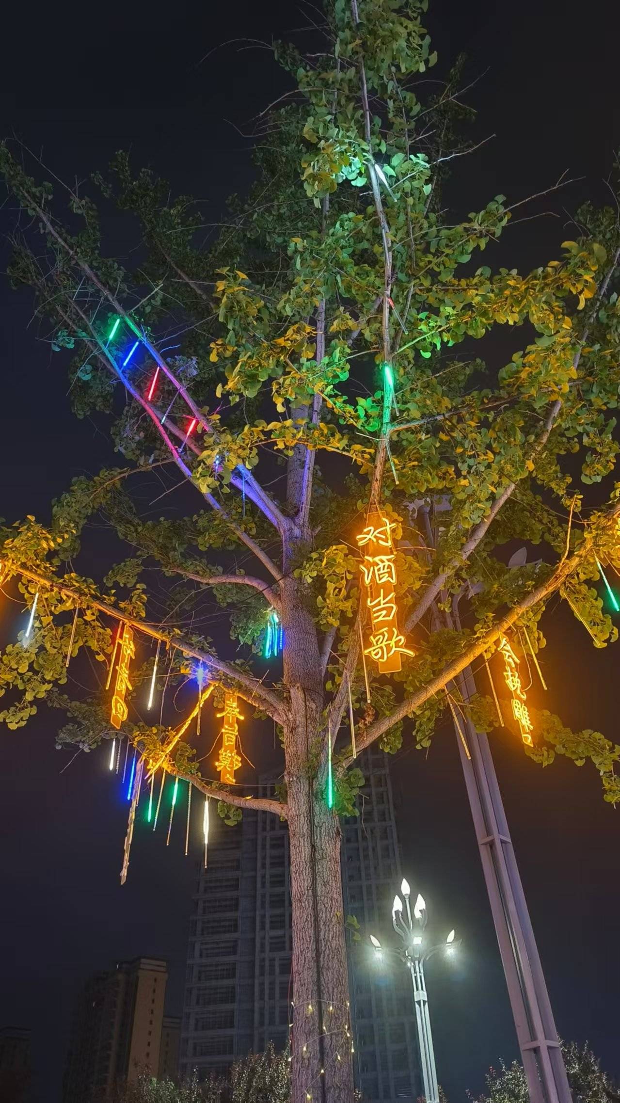 【24-25真题刷题】执法资格通用法律知识（必选）考试题库6