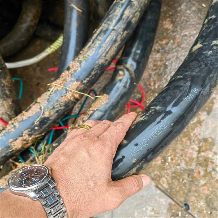 广州南沙区矿用电缆回收电话