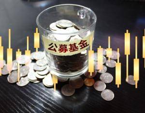 上半年，这些个股被公募基金大举买入