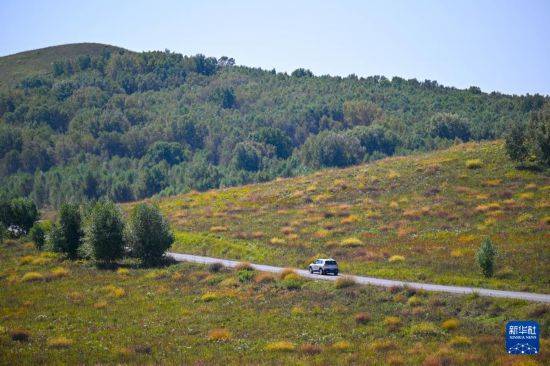 初秋的乌兰布统草原