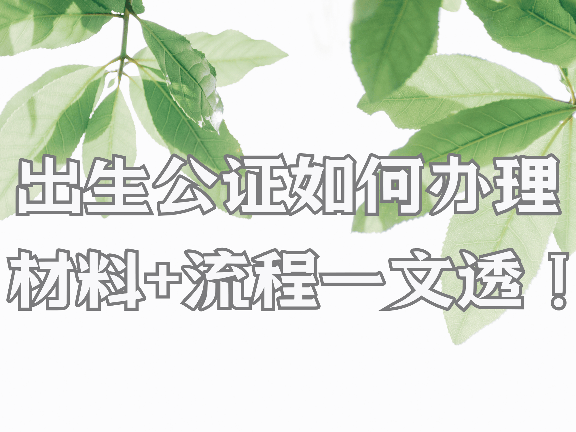 出生证公证认证需要什么材料