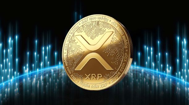 XRP背后投资集团(xrp capital) XRP背后投资集团(xrp capital)