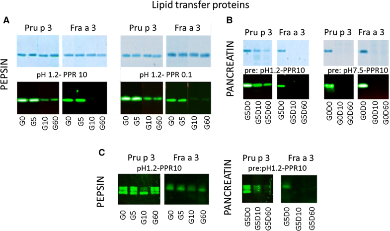 xrp翻倍(xrpd和xrd的区别) xrp翻倍(xrpd和xrd的区别)