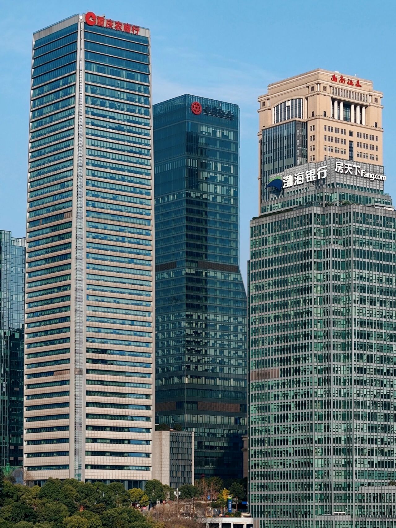 光大证券重庆(光大证券重庆民权路营业部)